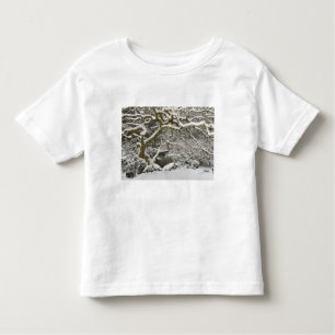 Snow-covered Japanese maple Toddler T-Shirt
