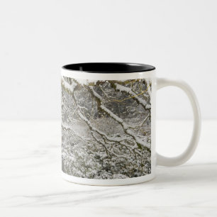 Snow-covered Japanese maple Two-Tone Coffee Mug