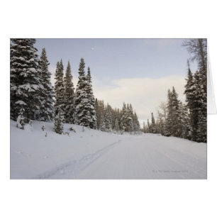 Snow-covered landscape
