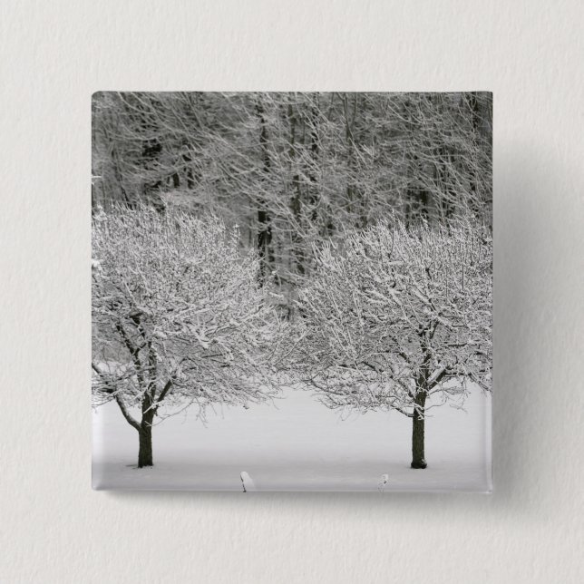 Snow covered landscape 15 cm square badge (Front)