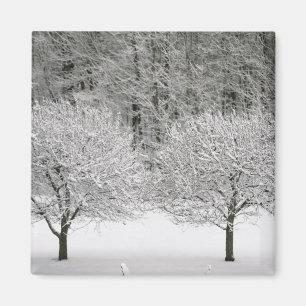 Snow covered landscape magnet