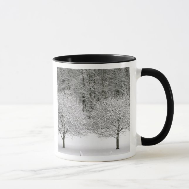 Snow covered landscape mug (Right)