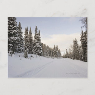 Snow-covered landscape postcard