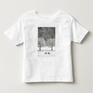 Snow covered landscape toddler T-Shirt