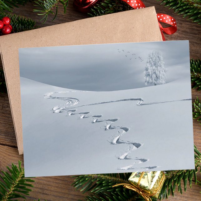 Snow covered landscape with ski tracks tree birds postcard (Creator Uploaded)