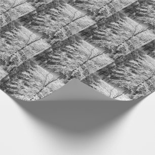 Snow Covered Maple Tree In Winter Wrapping Paper