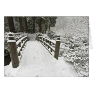 Snow-covered moon bridge, Japanese Garden