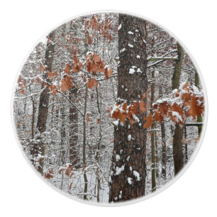 Snow Covered Oak Trees Winter Nature Photography Ceramic Knob