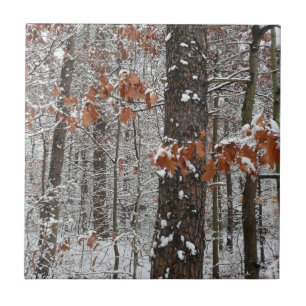 Snow Covered Oak Trees Winter Nature Photography Ceramic Tile