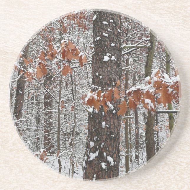 Snow Covered Oak Trees Winter Nature Photography Coaster (Front)