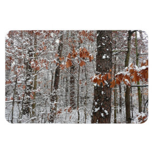 Snow Covered Oak Trees Winter Nature Photography Magnet