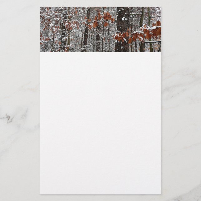 Snow Covered Oak Trees Winter Nature Photography Stationery (Front)