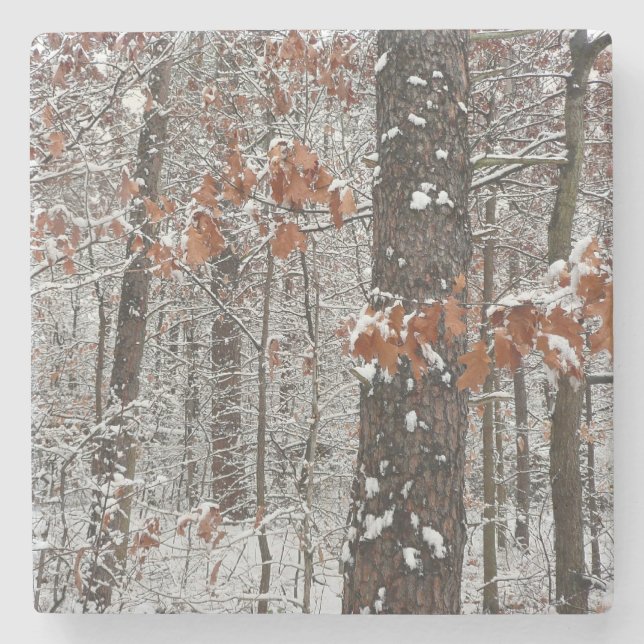 Snow Covered Oak Trees Winter Nature Photography Stone Coaster (Front)