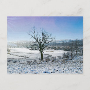 Snow Covered Ozark Hills Postcard