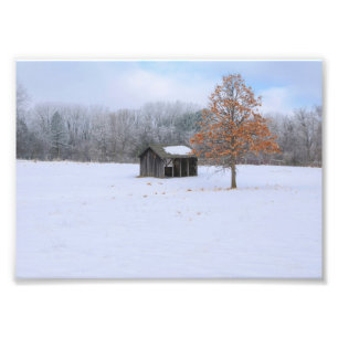 Snow Covered Paddock Photo Print