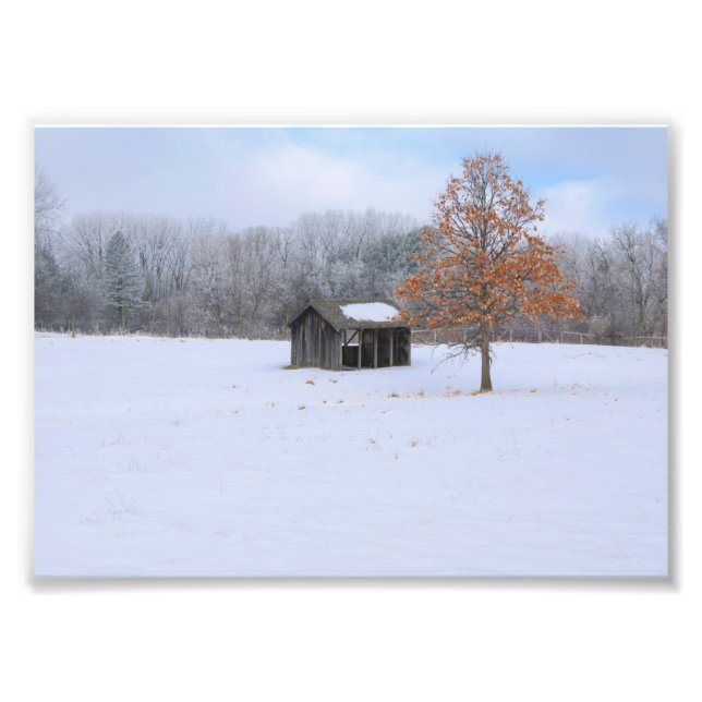 Snow Covered Paddock Photo Print (Front)