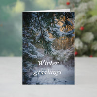 Snow-covered pine branches