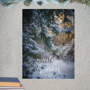 Snow-covered pine branches poster