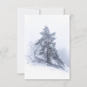 Snow-covered Pine Tree Winter Photo Card