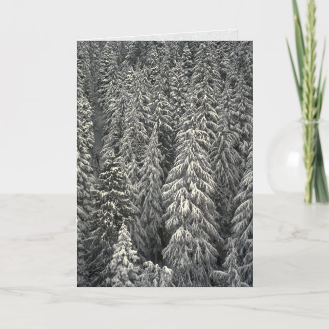 Snow-covered pine trees card (Front)