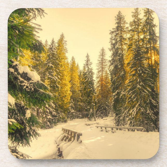 Snow Covered Pine Trees Forest Nature Photo Coaster (Front)