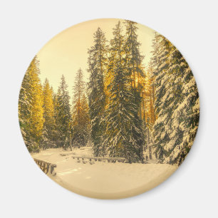 Snow Covered Pine Trees Forest Nature Photo Magnet