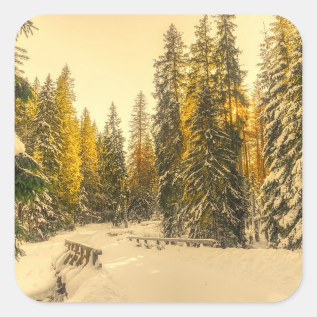 Snow Covered Pine Trees Forest Nature Photo Square Sticker (Front)