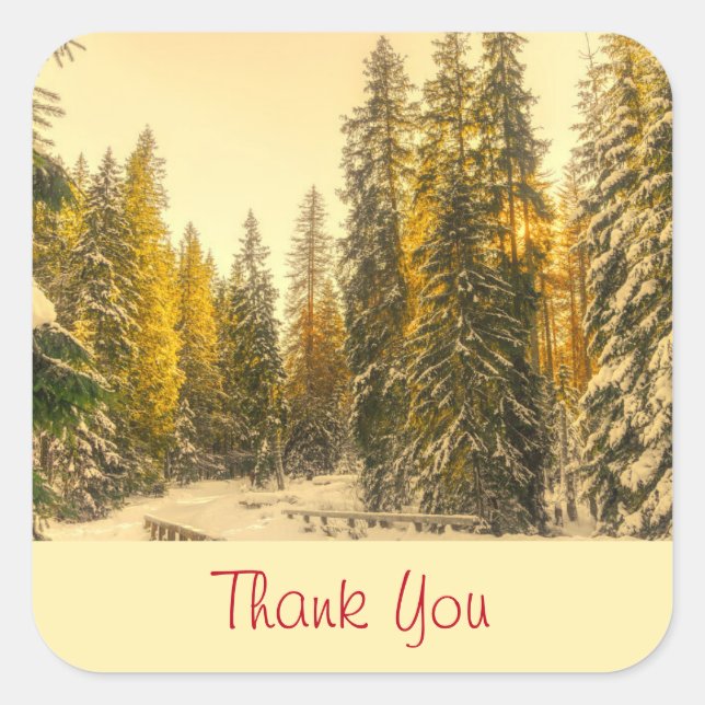 Snow Covered Pine Trees Nature Photo Thank You Square Sticker (Front)