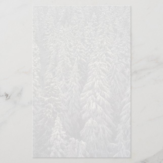 Snow-covered pine trees stationery (Front)