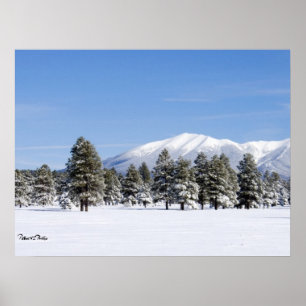 Snow Covered Pines, Prairie & San Francisco Peaks Poster