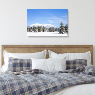 Snow Covered Prairie Pines and San Francisco Peaks Canvas Print