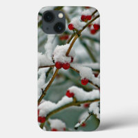 Snow-covered red berries,