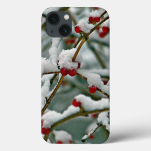 Snow-covered red berries, iPhone 13 case
