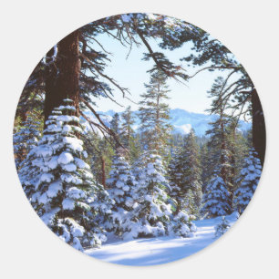 Snow-covered Red Fir trees in the High Sierra 2 Classic Round Sticker