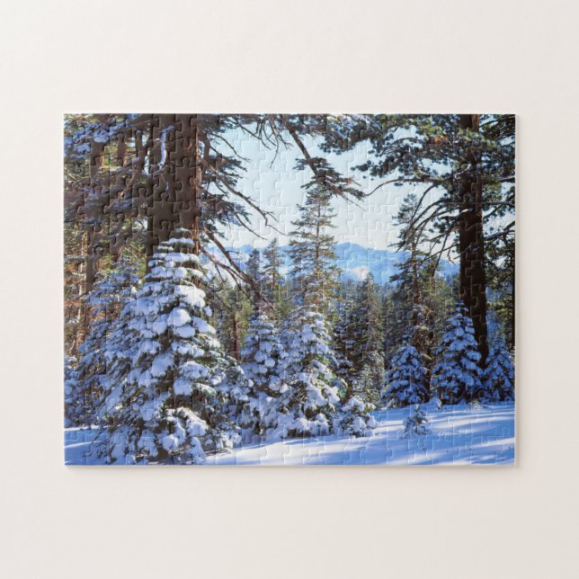 Snow-covered Red Fir trees in the High Sierra 2 Jigsaw Puzzle (Horizontal)