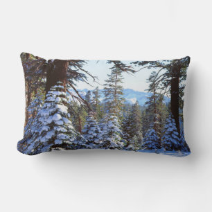 Snow-covered Red Fir trees in the High Sierra 2 Lumbar Cushion