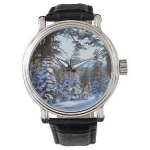 Snow-covered Red Fir trees in the High Sierra 2 Watch