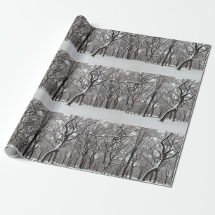 Snow Covered rees in Central Park NYC Wrapping Paper