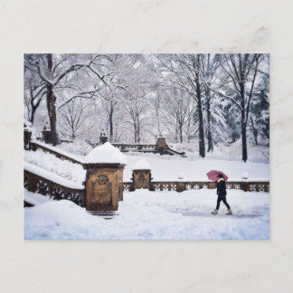 Snow-Covered Stairs In Central Park Postcard