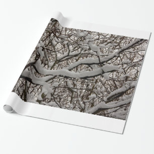 Snow covered tree branches wrapping paper