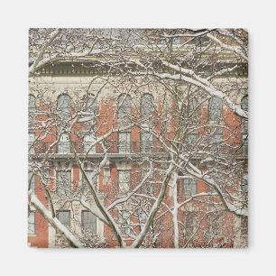 Snow Covered Tree Magnet
