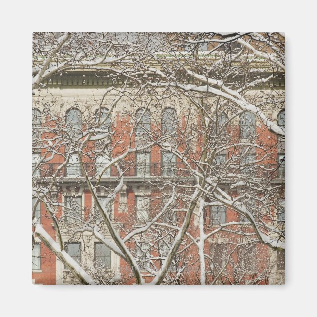 Snow Covered Tree Magnet (Front)