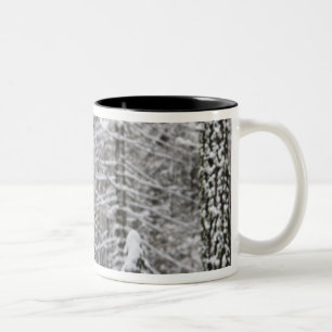 Snow covered tree trunks in Yosemite valley - Two-Tone Coffee Mug