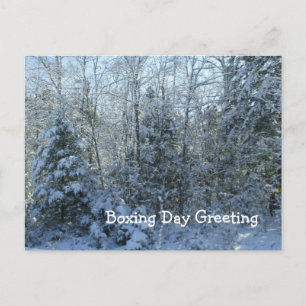 Snow Covered Trees-Boxing Day Canada Holiday Postcard