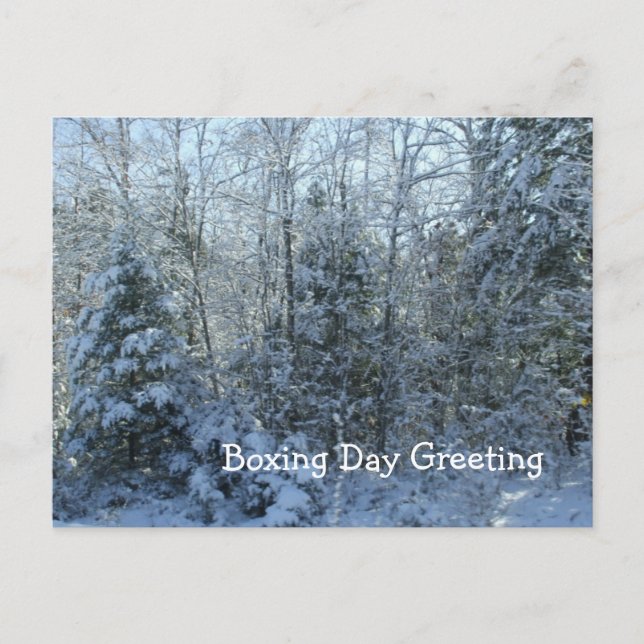Snow Covered Trees-Boxing Day Canada Holiday Postcard (Front)