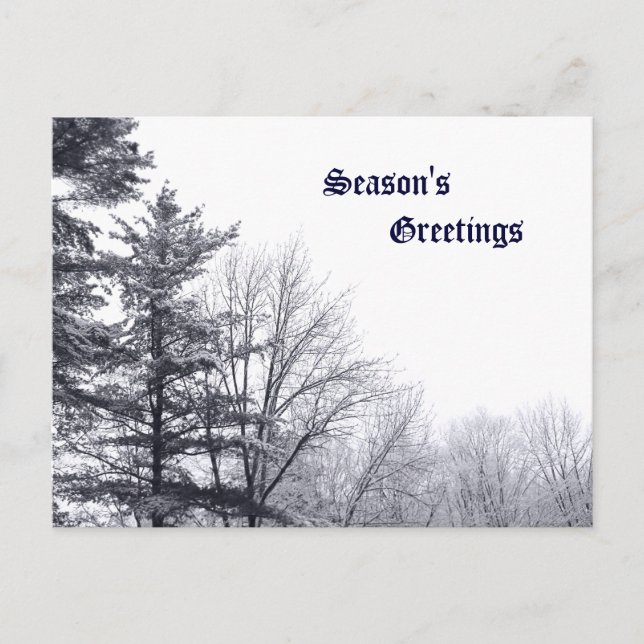 Snow-covered Trees: Horizontal Postcard (Front)