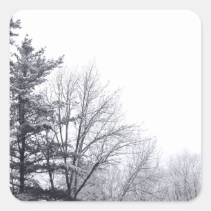 Snow-covered Trees: Horizontal Square Sticker