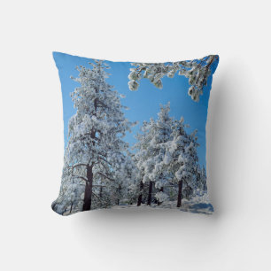 Snow-covered trees in the Laguna Mountains Cushion