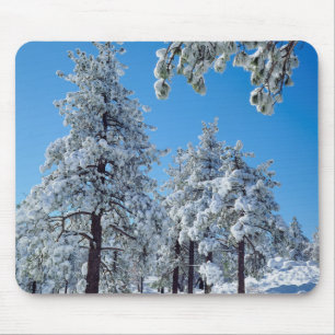 Snow-covered trees in the Laguna Mountains Mouse Pad
