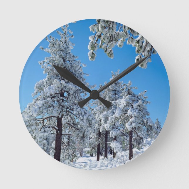 Snow-covered trees in the Laguna Mountains Round Clock (Front)